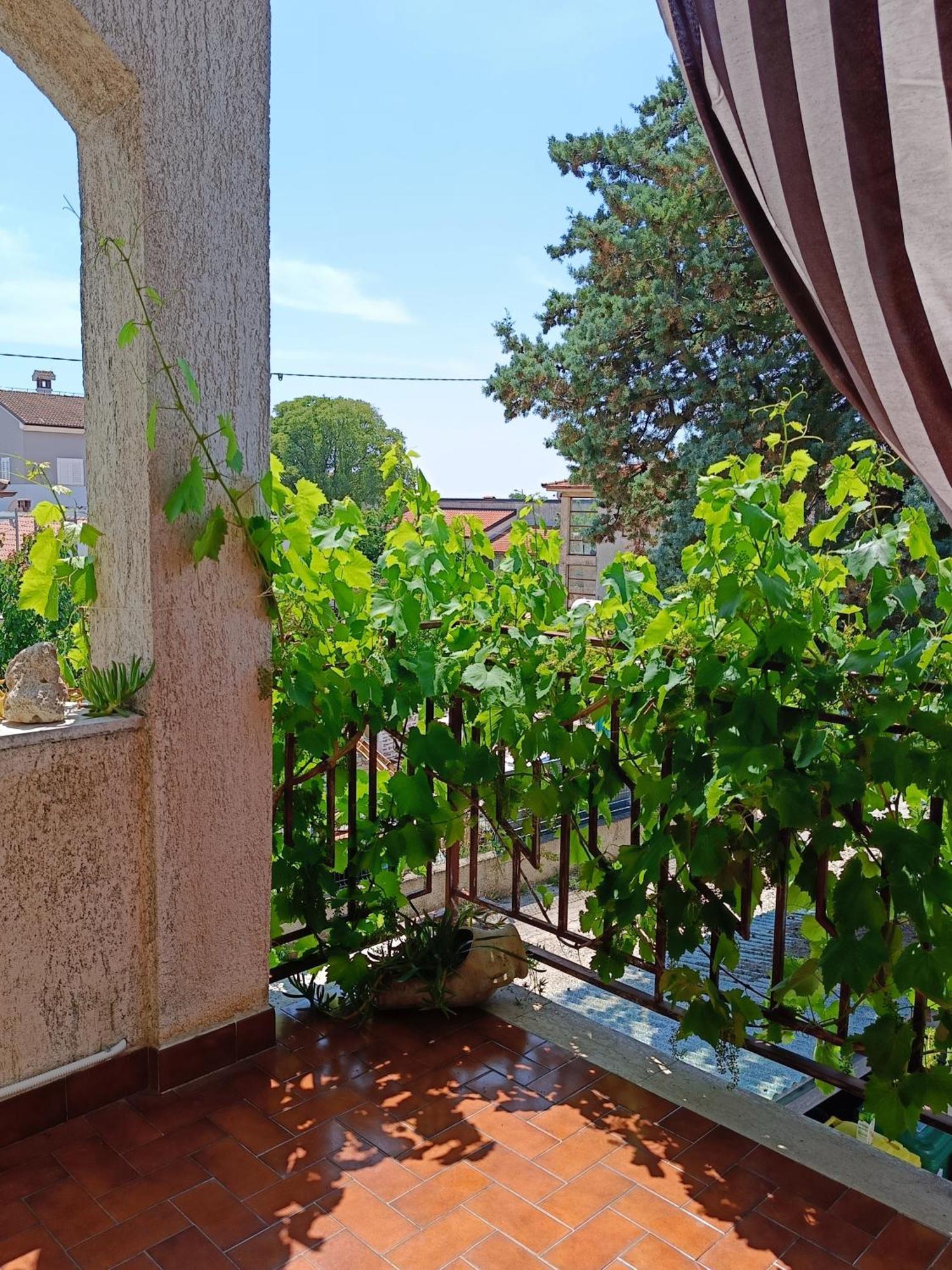 Apartments Villa Laura PUY 외부 사진