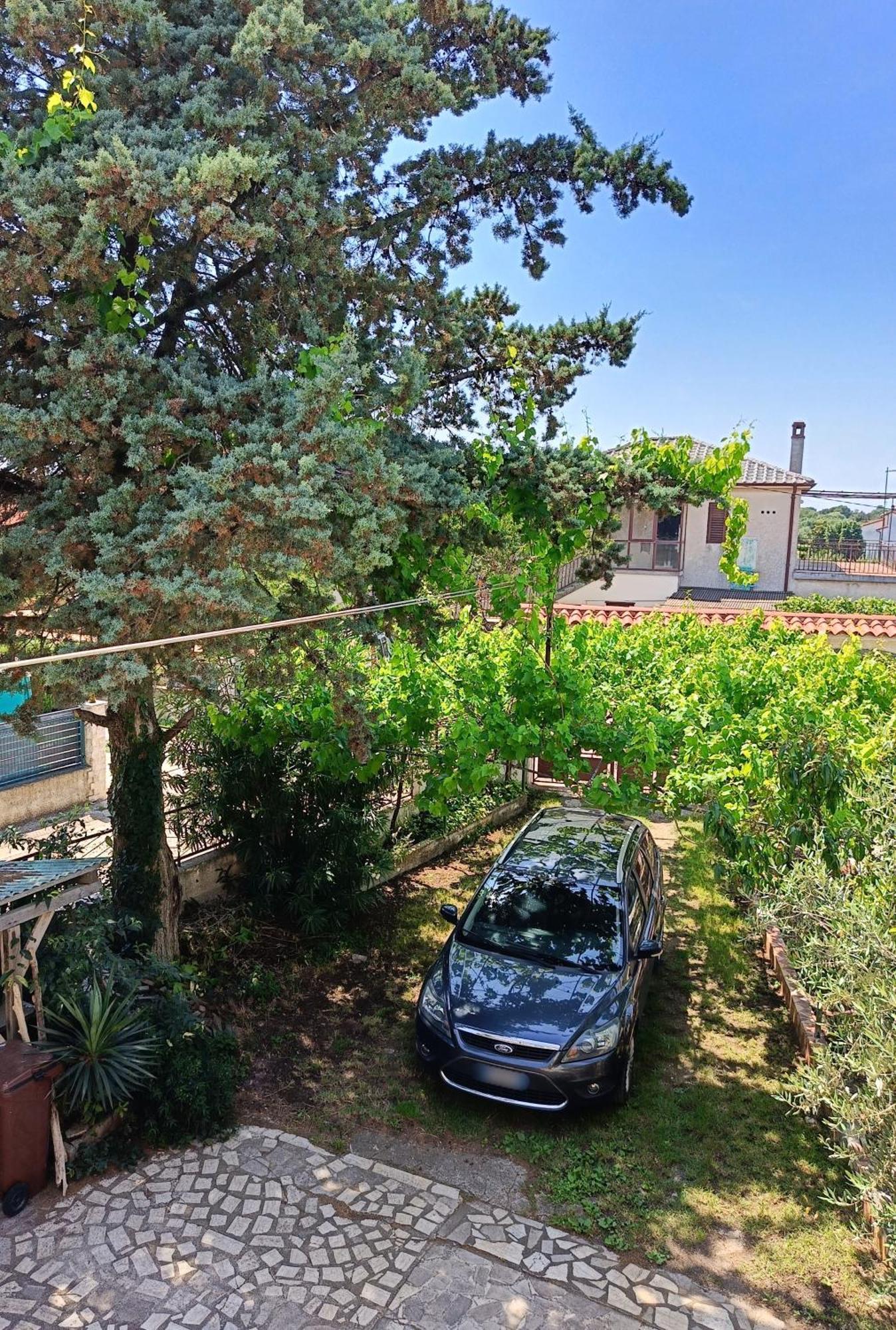Apartments Villa Laura PUY 외부 사진